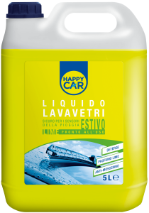 5L Lemon Windshield Washer & Insect Remover – Affordable Car Care
